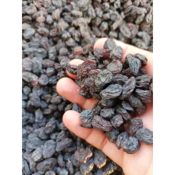 Fresh Seedless Raisins 
